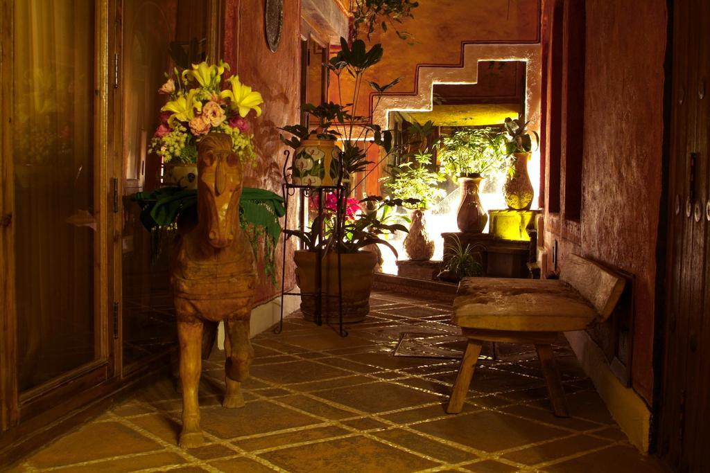 Busue A Boutique Experience Città del Messico